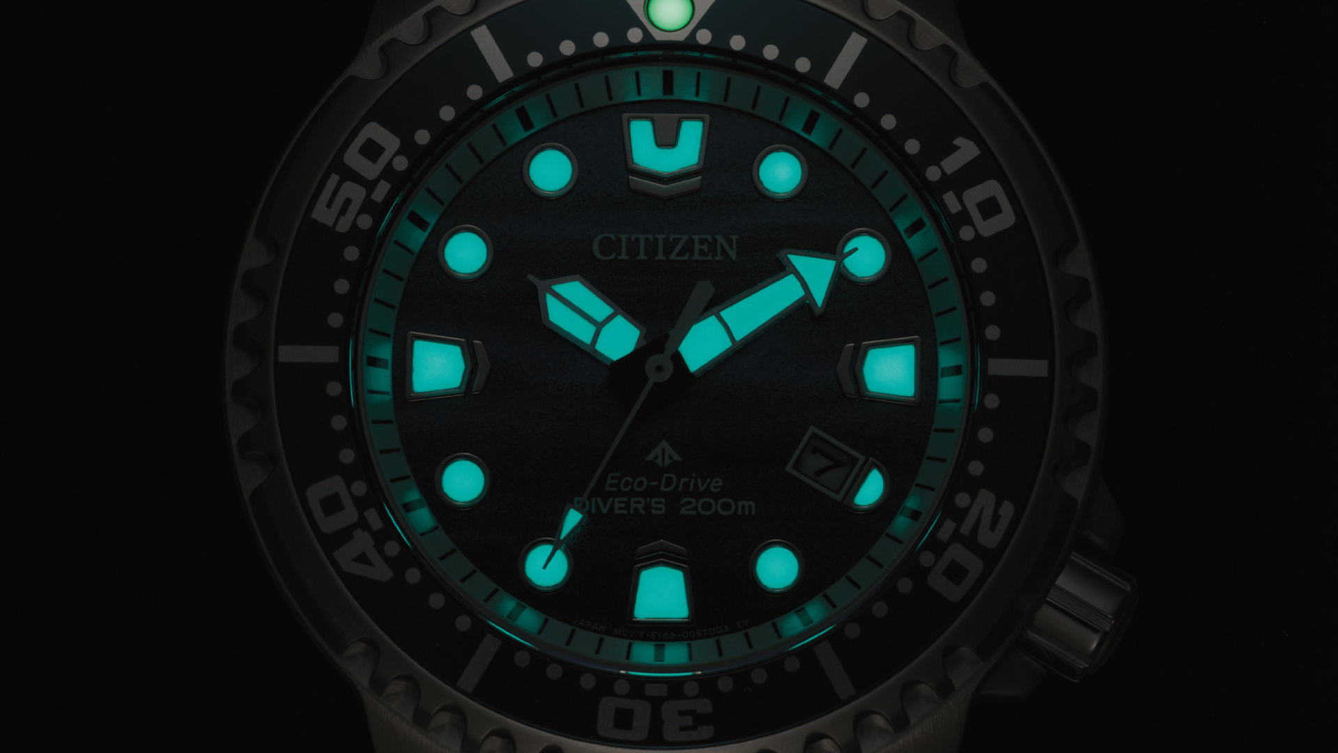 Citizen Promaster